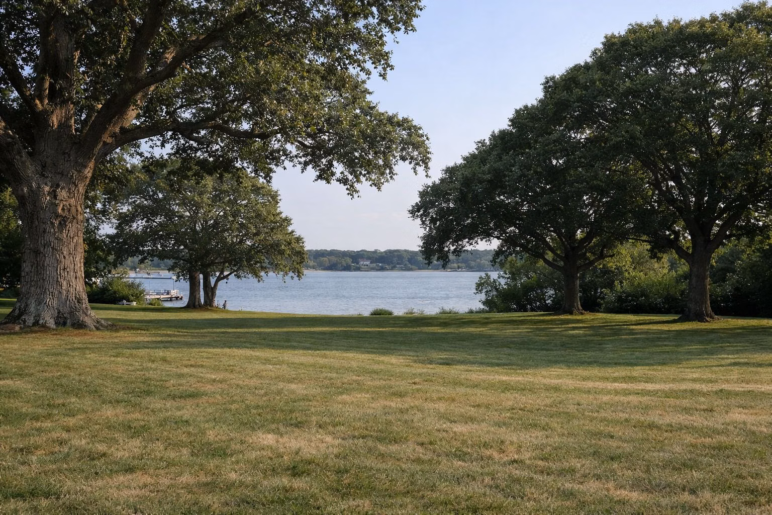 Open lawn with old trees on the edge of the bay