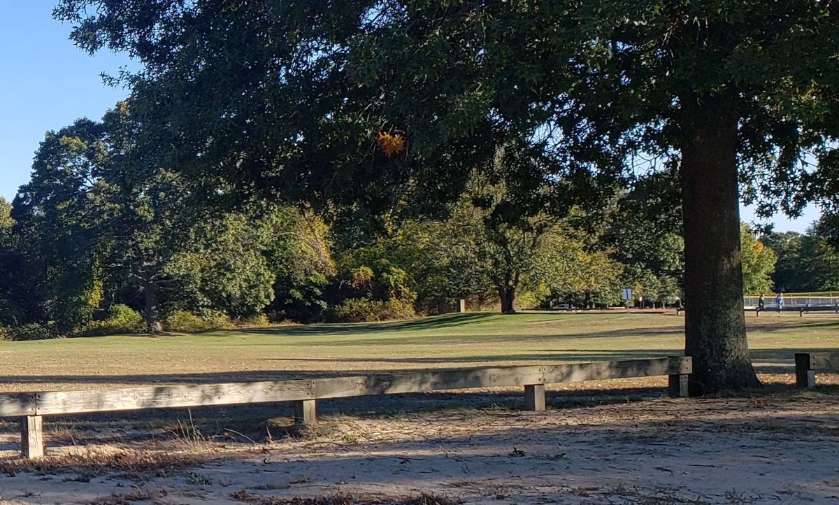 Open field and shade trees at Warwick City Park