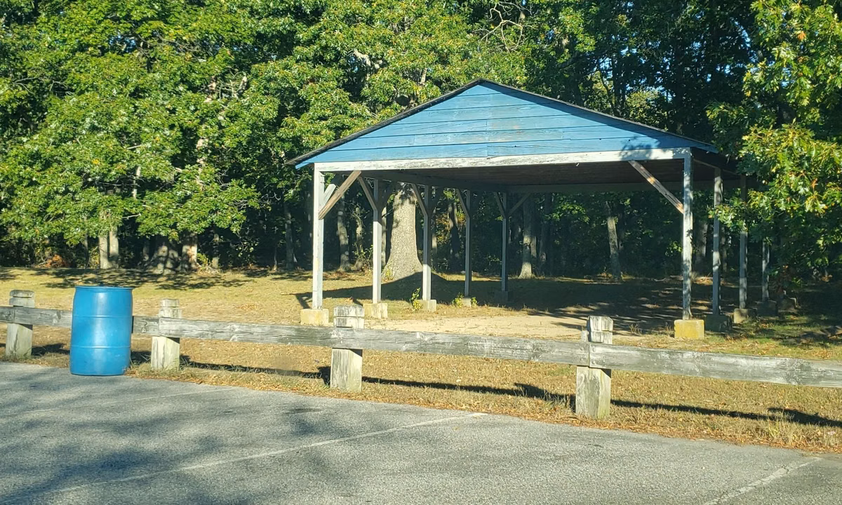 Picnic shelter beside the park road at Warwick City Park