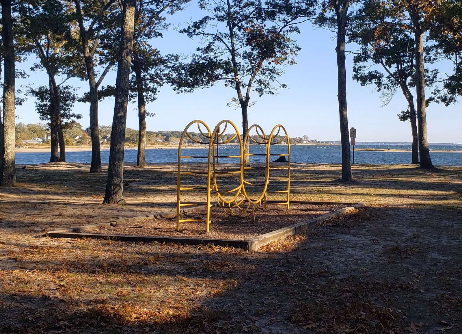 Buttonwoods beach seen through the pines at Warwick City Park